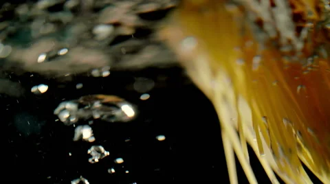 Spaghetti Falling into Water Stock-Footage 51633533