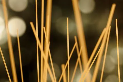 Spaghetti forest Stock Photos