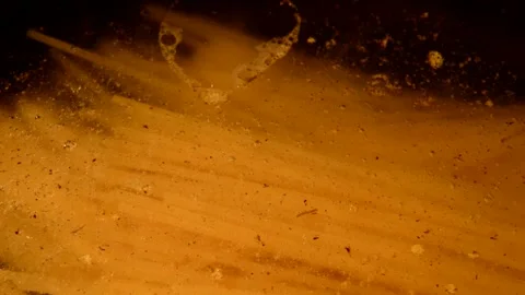 Spaghetti pasta is being prepared Stock Footage 272188749