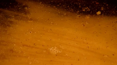 Spaghetti pasta is being prepared Stock Footage 272188757