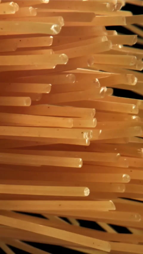 Spaghetti pasta flies up and falls down. Filmed on a high-speed camera at 1000 Stock Footage 335361424