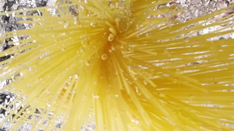 Spaghetti throwing into the water Stock Footage 130876890