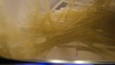 Spaghetti in a transparent pan with boiling water. Spaghetti in boiling water. S Stock Footage 283630356