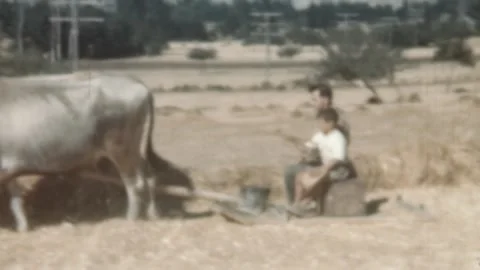 Spain - 1949: Man teaches his son about the family farming and ranching business Stock Footage 248620233