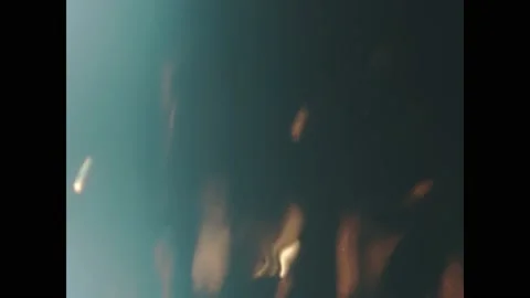 Spain 1965, Restaurant kitchen work Stock Footage 204133364