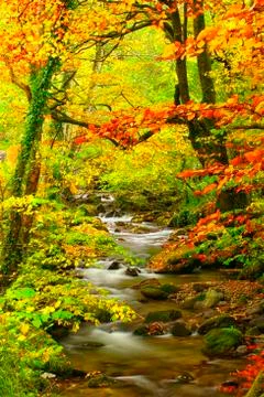 Spain, Asturias, Hermo in the autumnal Natural Park of Fuentes del Narcea, Stock Photos