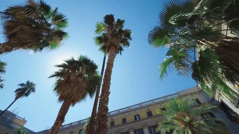SPAIN BARCELONA JULY 2017: Barcelona Plaza Real, famous square with fountain Stock Footage