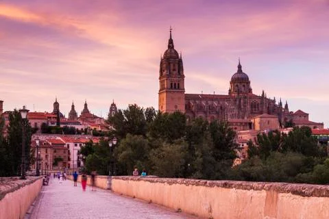 Spain, Castile and Leon, Salamanca, Catedral Nueva de Salamanca and Roman Bridge Stock Photos