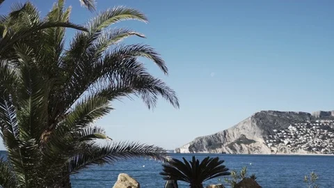 Spain coast palms Stock Footage 89700099