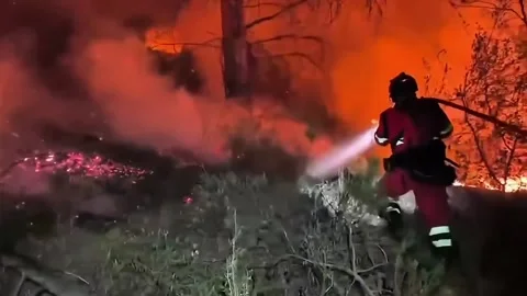 Spain: Emergency crews battle forest fire near eastern Spain's La Vall d'... Stock Footage 340614537