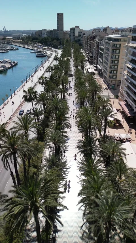 Spain Stock Footage 245453128