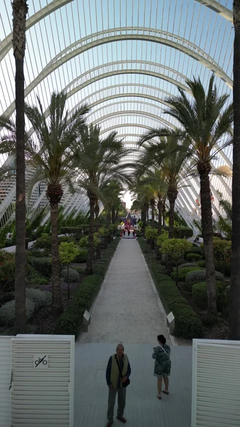 Spain Video stock 245453604