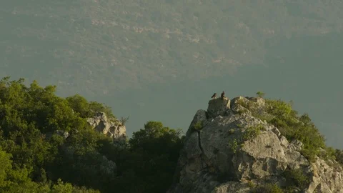 Spain landscape Bonelli´s Eagle territory. Video stock 113547297