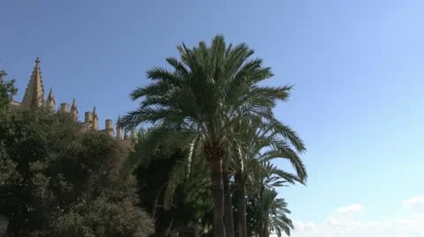 Spain - Majorca - Palma Cathedral Видео 14825306