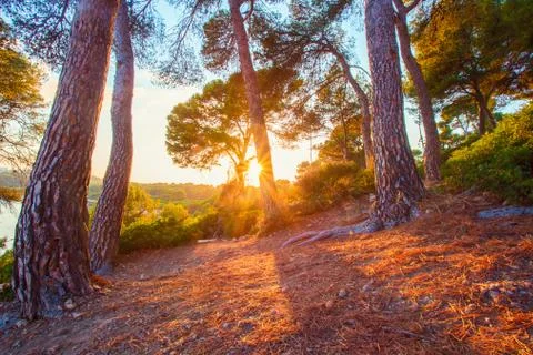 Spain nature Stock Photos