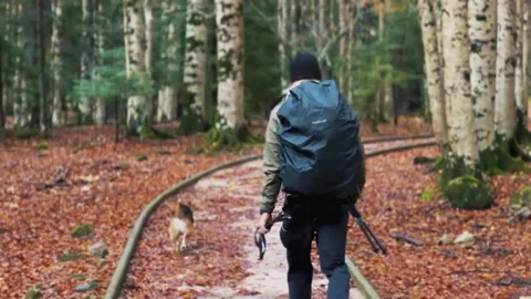 Spain Ordesa y Monte Perdido, Man Walking with Dog in Golden Autumn Forest Stock Footage 317550684