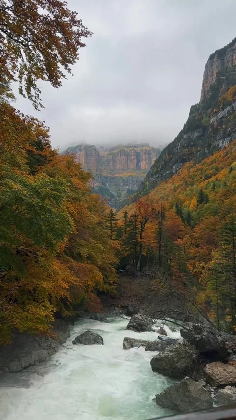 Spain Ordesa y Monte Perdido, Autumn Stream and Mountains Vertical Video Stockbeeldmateriaal 317550695