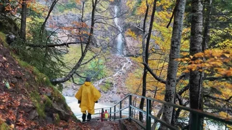 Spain Ordesa y Monte Perdido, Woman Hiking in Autumn Forest Stock Footage 317550711
