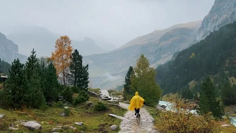 Spain Ordesa y Monte Perdido, Woman Running with Dog in Autumn Mountains Video stock 317550731