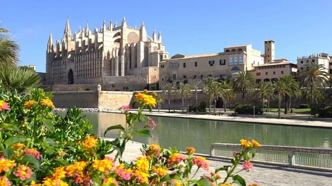 Spain, Palma de Mallorca Cathedral and Parc de la Mar in historic city center Stock Footage 100673708