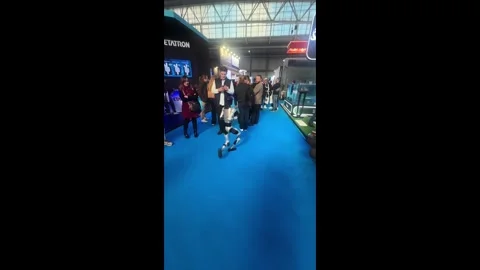 Spain: Robot performance turned dangerous after near kick incident Stock Footage 326022388