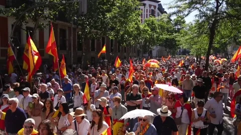 Spain: Thousands protest in Madrid over government corruption allegations... Stock Footage 335540121