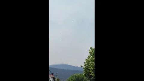 Spain: Thousands Of Vultures Circle Burned Spanish Landscape After Massiv... Stock Footage 340858544