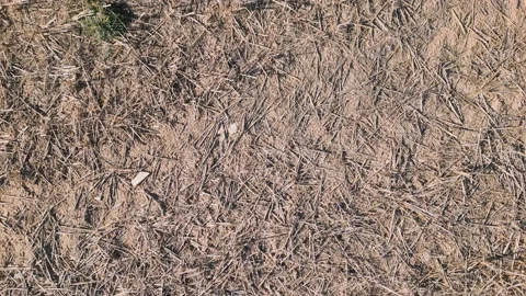 Spain top shot forward movement drought dry agriculture landscape Stock-Footage 233286535