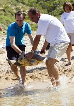 Spain Turtles Released - Aug 2011 Stock Photos