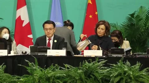 Spain wants a "powerful and effective" agreement on biodiversity, CANADÁ, CA - 1 動画素材 226511031