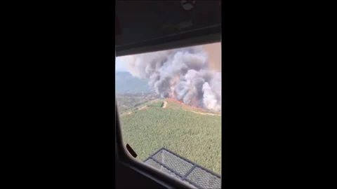 Spain: Wildfire Explodes Across Spanish Hills As Flames Race Through Pine... Stock Footage 340858595