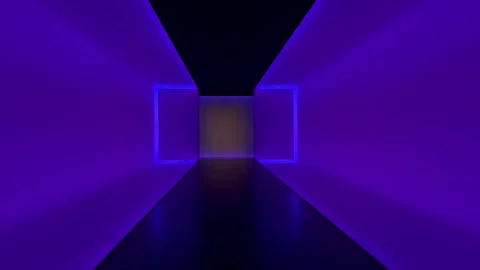 Spain's Emeritus Queen Sofia presents awards in Houston in recognition of intern Video stock 241471394