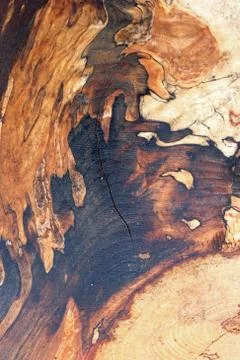 Spalted beech tree sawn timber plank Stock Photos