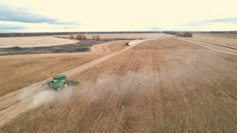The span between harvesters harvesting soybeans Vídeo Stock 166411648
