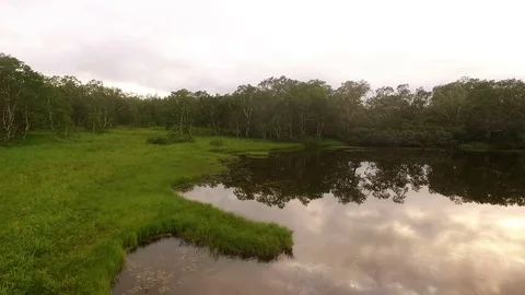 The span of the camera up. because of the appearance of the mountain forest Stock Footage 72607598