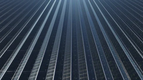 Span of the camera over the roofs of a large number of greenhouses. industria Stock Footage 157401465