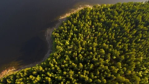 The span of the drone along the coast of the sea bay. Forest on the shore. Stock-Footage 104633763
