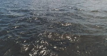 Span low over the sea, waves, aerial, slow motion Stock Footage 85717393