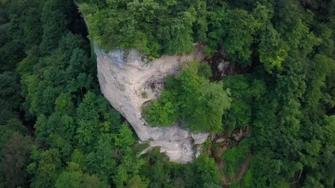 Span over a rock covered with trees Stock Footage 157650058