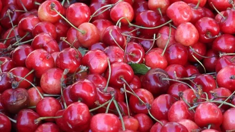 Spaniards cherries. Slow pan close-up. Stock Footage 98017824