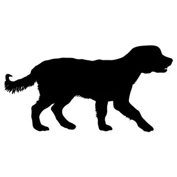 Spaniel dog silhouette on a white background Stock Illustration