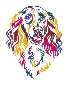Spaniel dog vector color contour portrait vector Stockillustratie