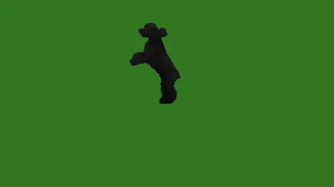 Spaniel jumping on green screen Видео 149927021