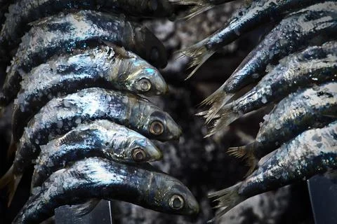 Spanien-Malaga Stock Photos