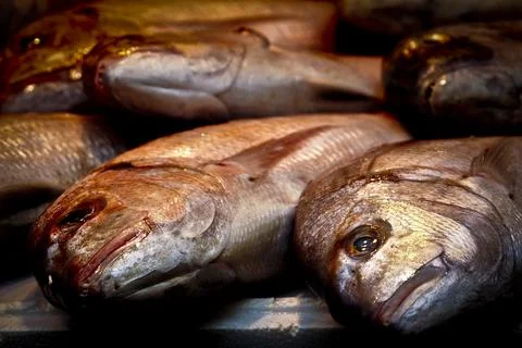 Spanien-Malaga Stock Photos