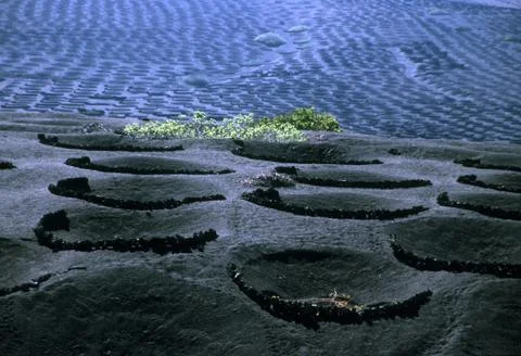 Spanien Wein Stock Photos