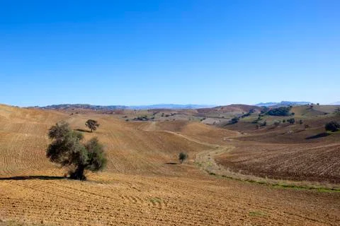 Spanish arable fields Stock Photos