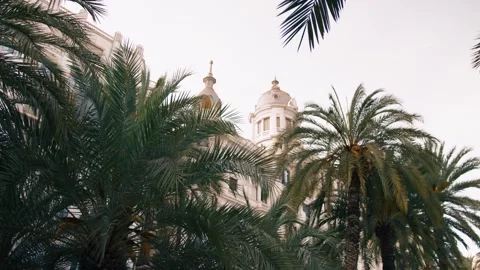 Spanish Building through palm trees Stock Footage 255865001