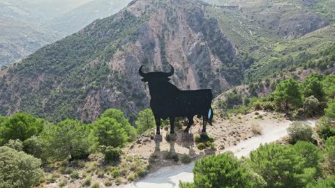 Spanish Bull Video stock 267981087