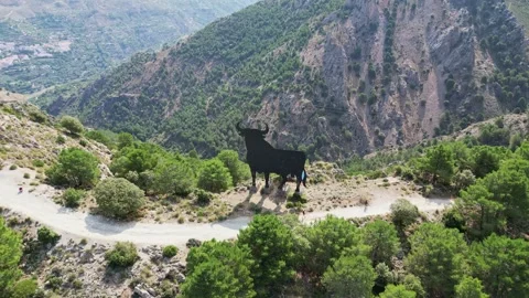 Spanish Bull Stock Footage 267996608